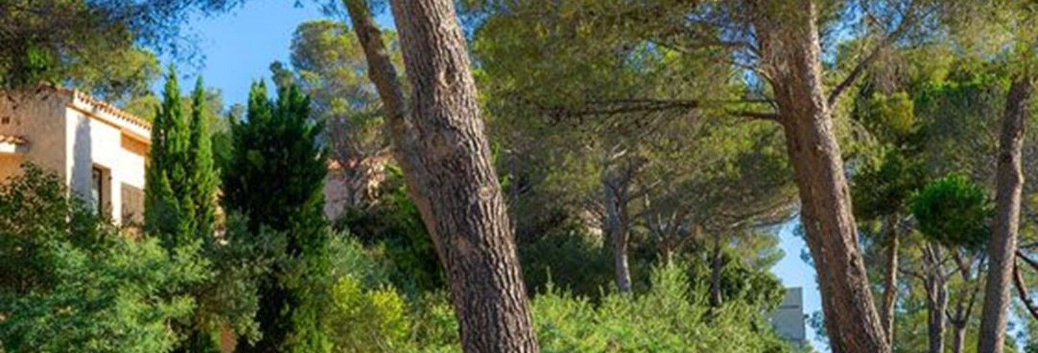 Appartement 2 Pièces 25 m² à vendre à Saint-Raphaël (83700)