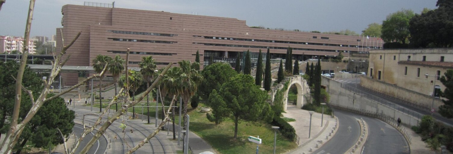 Appartement 1 Pièce 20 m² à louer à Montpellier (34000)