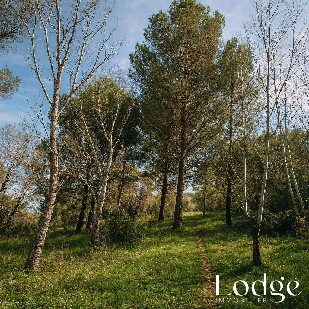 Terrain  à vendre Mallemort 13370