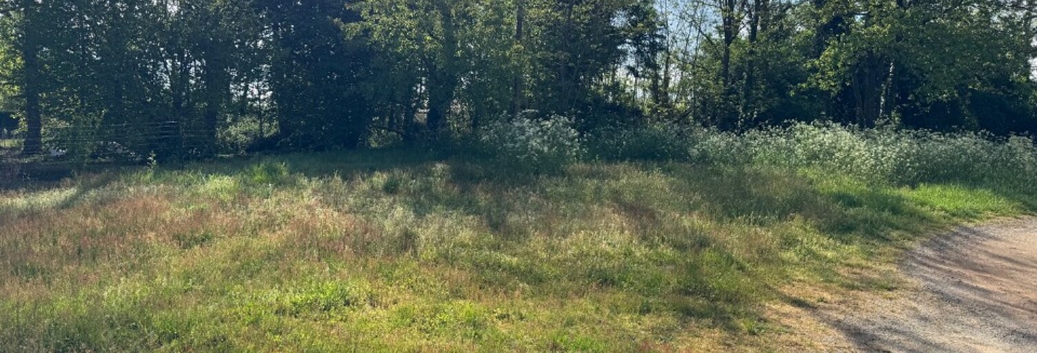 Terrain  600 m² à vendre à Lesparre-Médoc (33340)