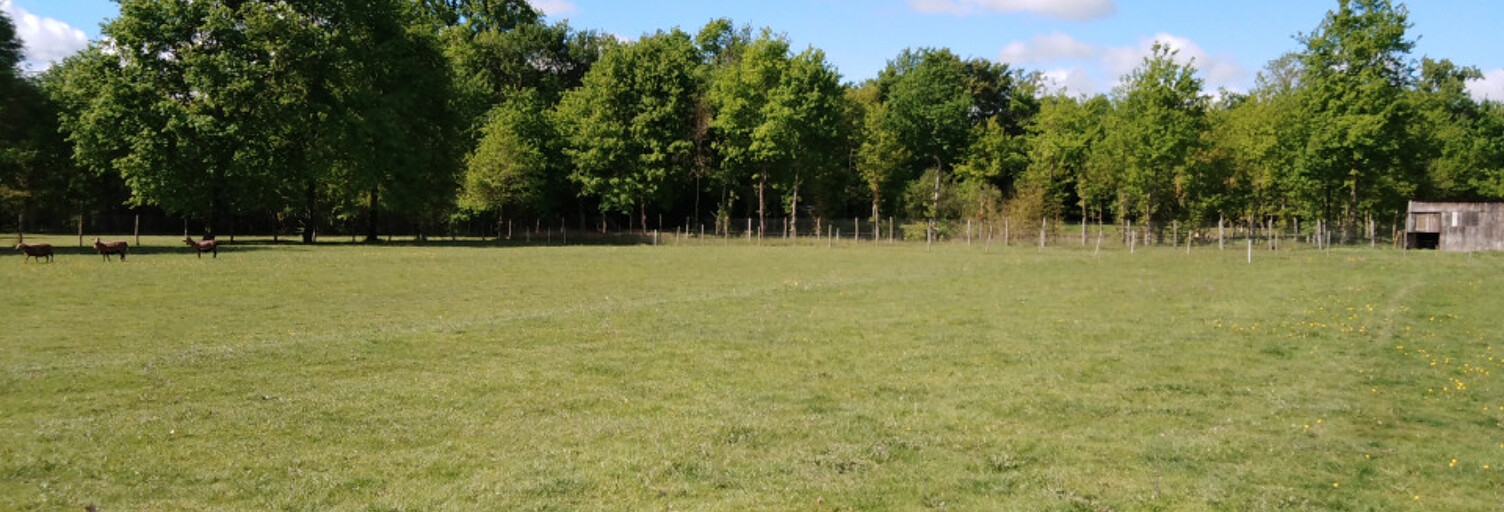 Terrain  1534 m² à vendre à Beaupouyet (24400)