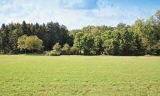 Terrain  800 m² à vendre à Martillac (33650)