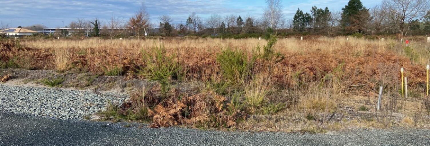 Terrain  612 m² à vendre à Saint-Magne (33125)