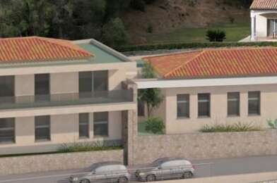 Commerce  232440 €
