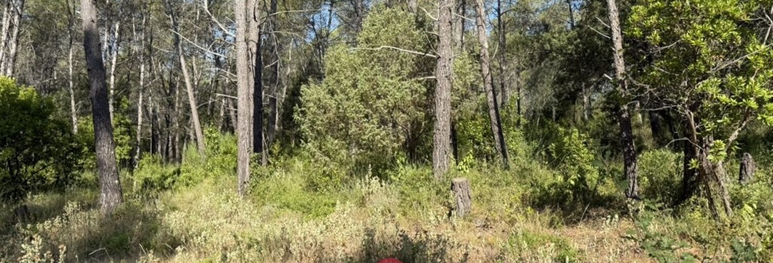 Terrain  1200 m² à vendre à Bagnols-en-Forêt (83600)