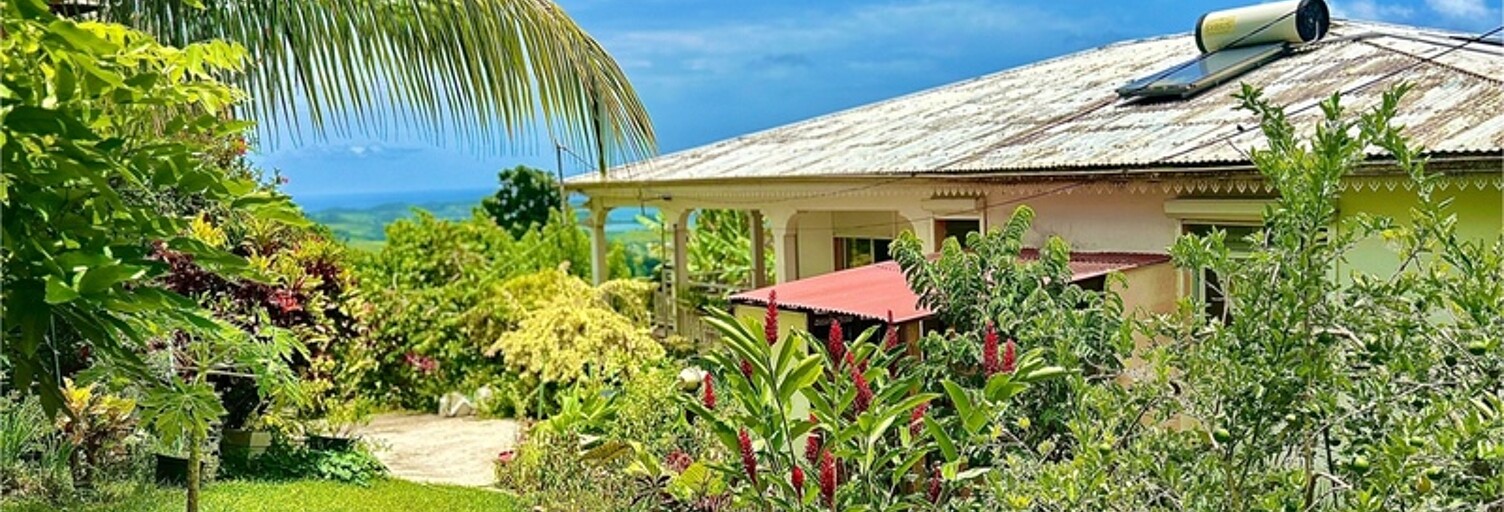 Maison 7 Pièces 244 m² à vendre à Le Robert (97231)