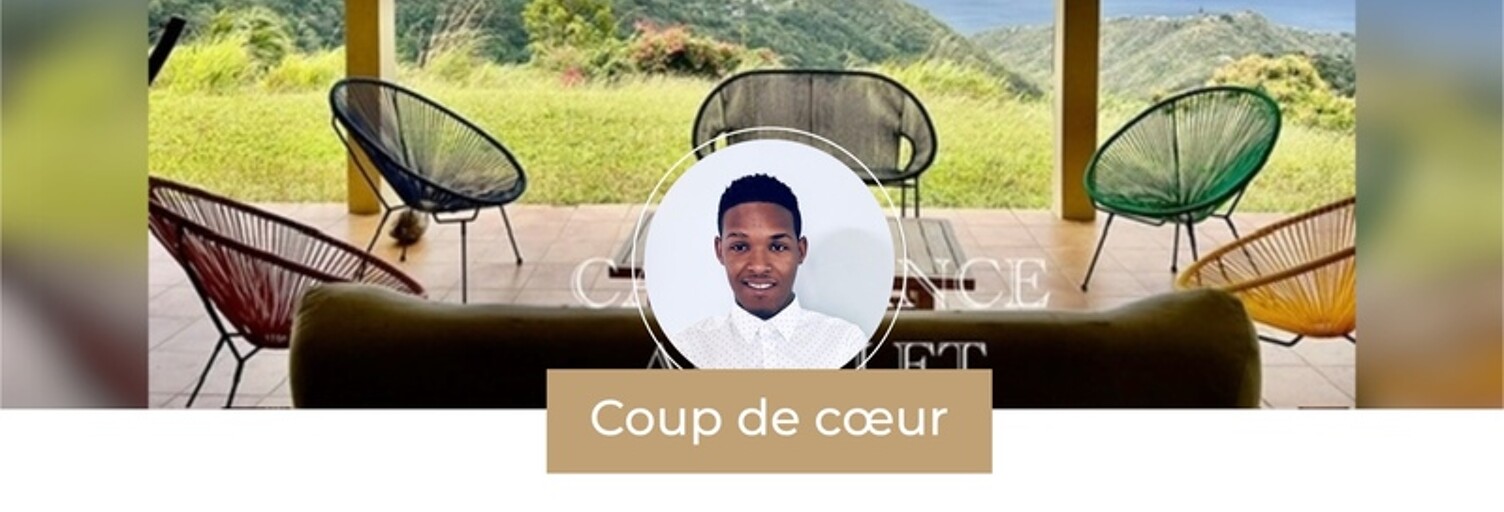 Maison 7 Pièces 231 m² à vendre à Case-Pilote (97222)