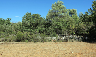 Terrain 3025 m² à construire Saint-Maximin-la-Sainte-Baume (83470)