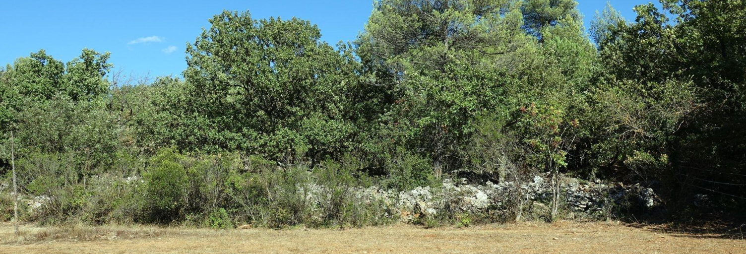 Terrain 3025 m² à construire Saint-Maximin-la-Sainte-Baume (83470)