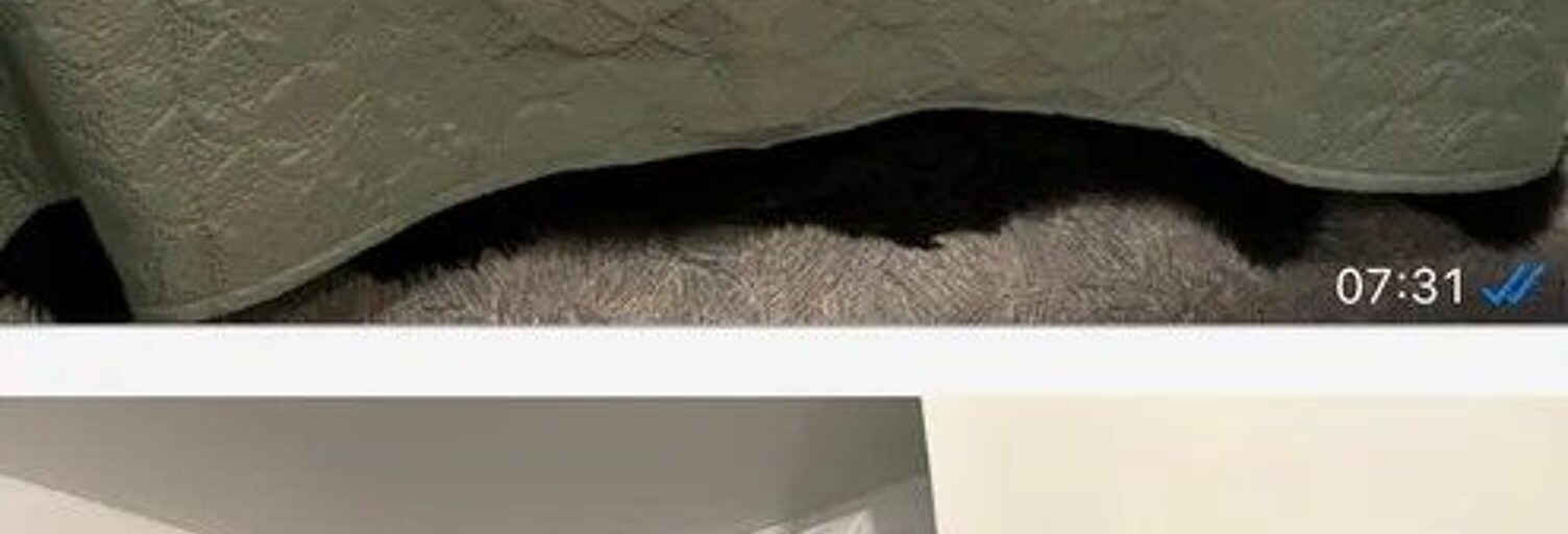 Appartement 1 Pièce 15 m² à louer à Boussy-Saint-Antoine (91800)