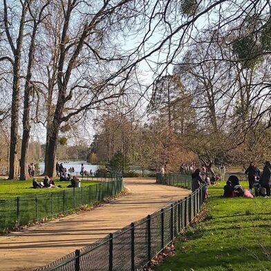 Appartement 1 pièces 950 €