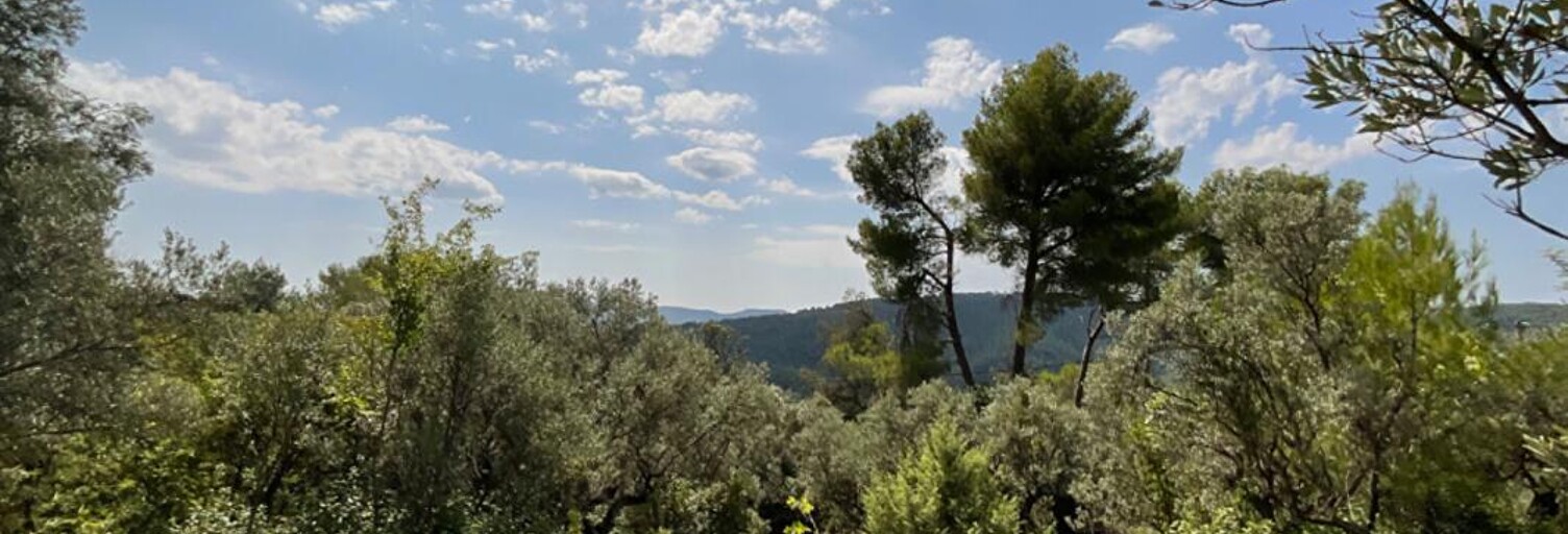 Terrain  3015 m² à vendre à Claviers (83830)