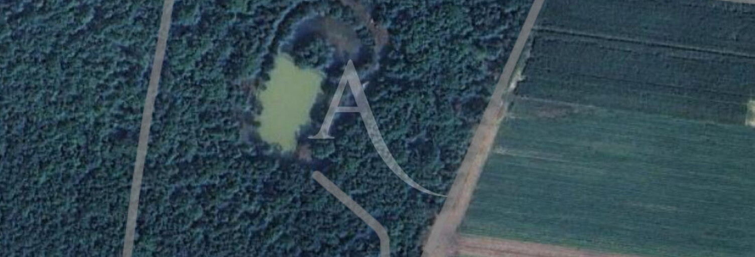 Terrain  57980 m² à vendre à Donnery (45450)