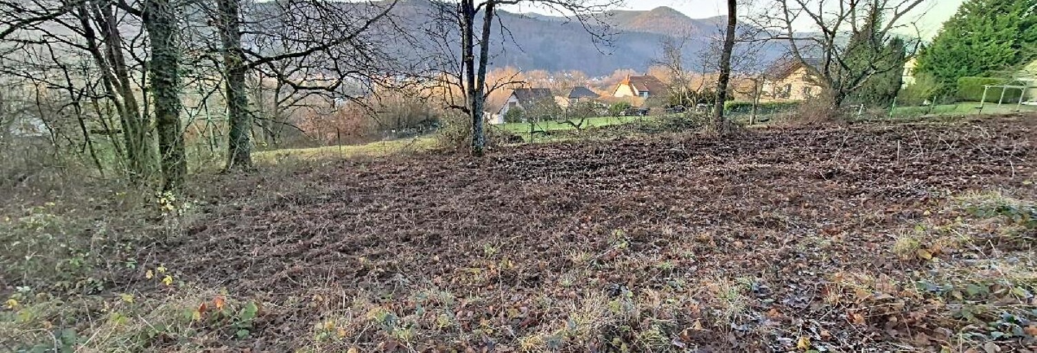 Terrain  1904 m² à vendre à Russ (67130)