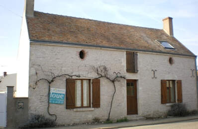 10 MN OUZOUER-LE-MARCHÉ — photo du bien