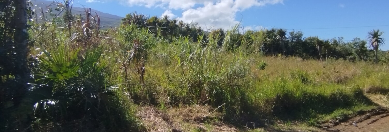 Terrain  333 m² à vendre à Saint-Joseph (97480)