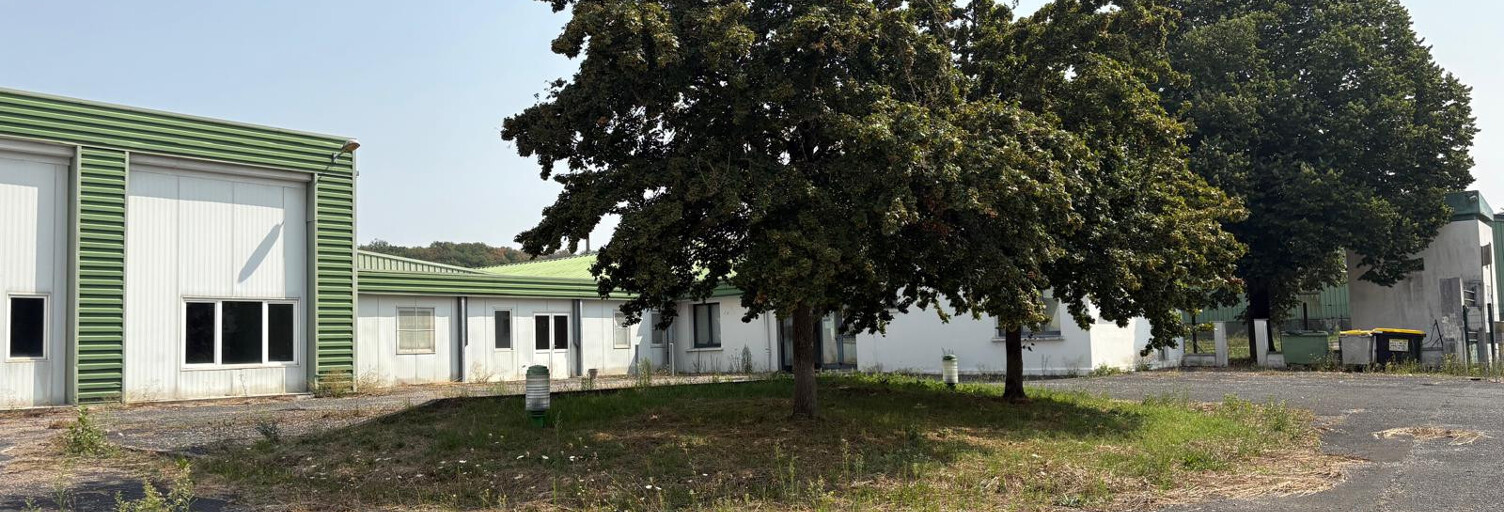 Commerce 15 Pièces 3000 m² à vendre à Carmaux (81400)