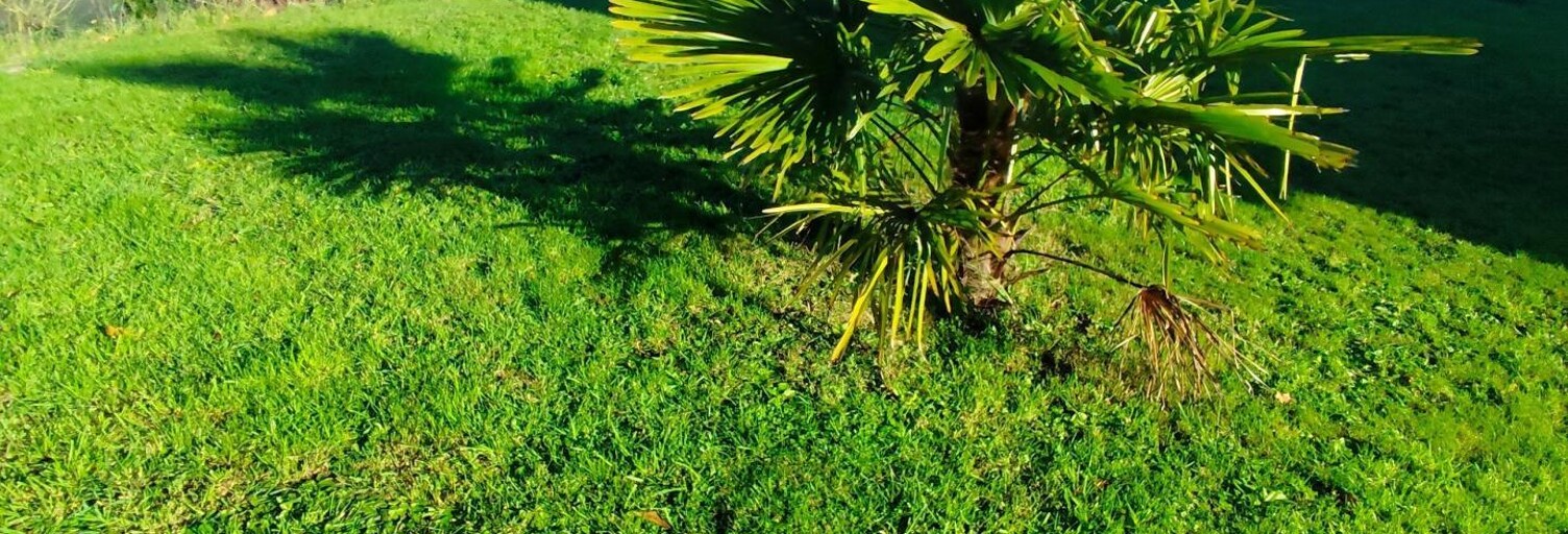 Maison 6 Pièces 121 m² à vendre à La Baconnière (53240)