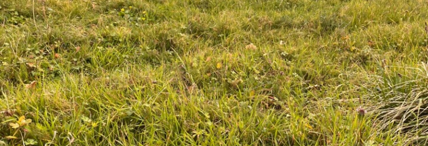 Terrain  365 m² à vendre à La Sauve (33670)