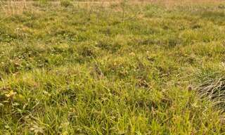 Terrain  417 m² à vendre à Ayguemorte-les-Graves (33640)