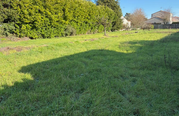 LUCON (85) QUARTIER HYPER RECHERCHE MARCHE COUVERT BATISSE EN PIERRES A RENOVER AVEC TERRAIN 1000M² — photo 2