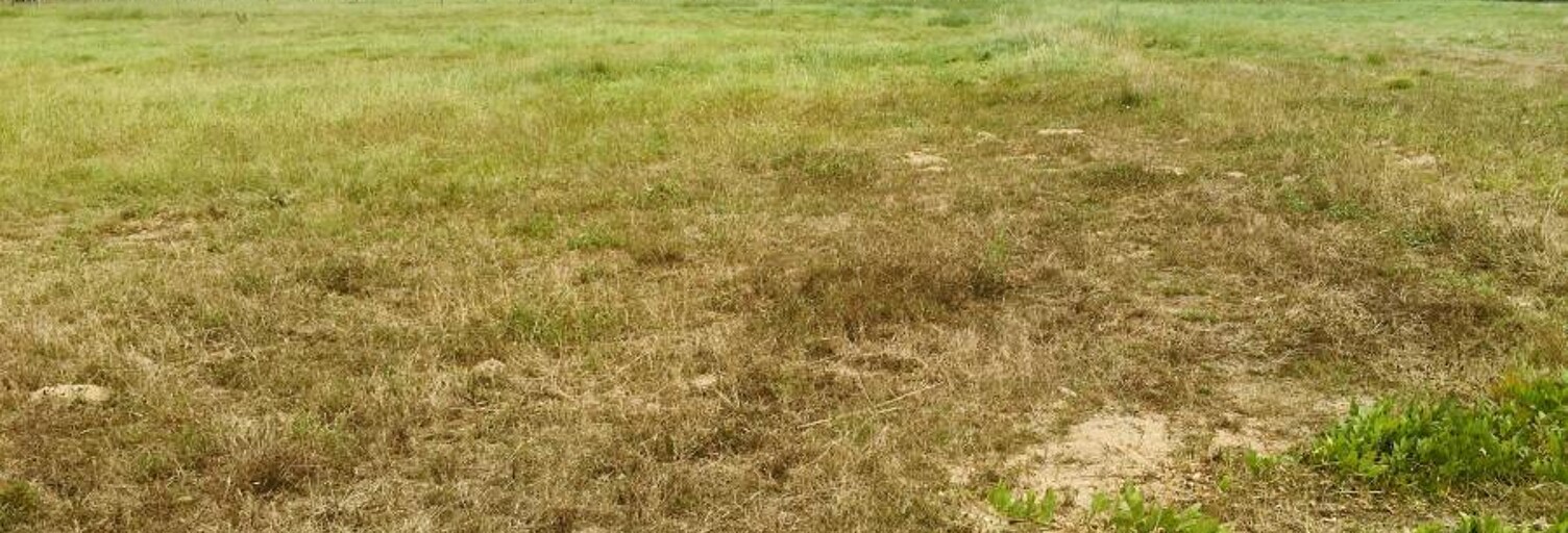 Terrain 857 m² à construire Saint-André-de-Cubzac (33240)