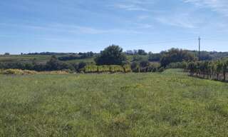 Terrain 1201 m² à construire Capian (33550)