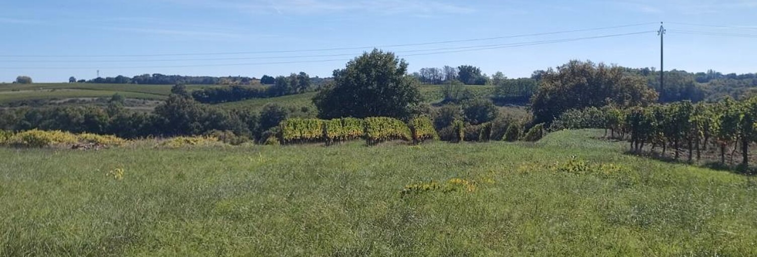 Terrain 1201 m² à construire Capian (33550)