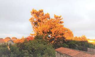 Appartement 2 Pièces 30 m² à louer à Les Sables-d'Olonne (85340)