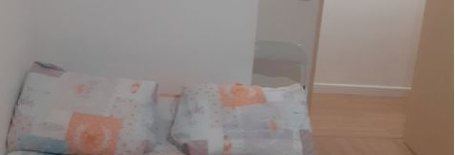 Appartement 1 Pièce 15 m² à louer à Villeurbanne (69100)