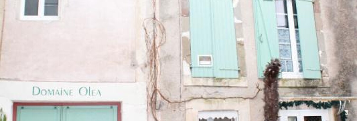 Maison 9 Pièces 180 m² à vendre à Agel (34210)