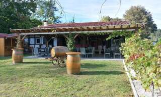 Commerce 3 Pièces 225 m² à vendre à Lacquy (40120)