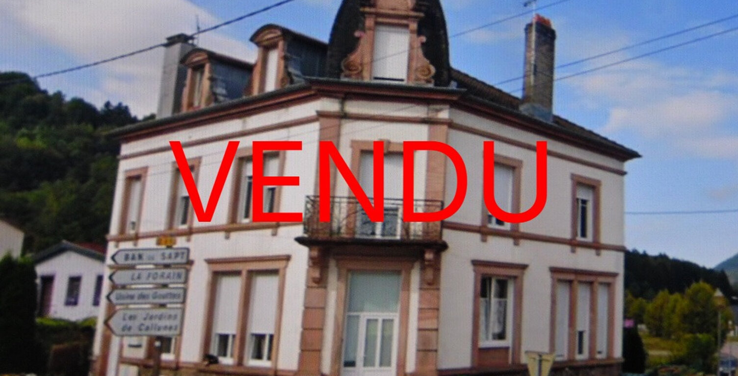 SENONES (Vosges) immeuble de rapport — photo 1