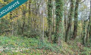 Terrain  10039 m² à vendre à Meyrals (24220)