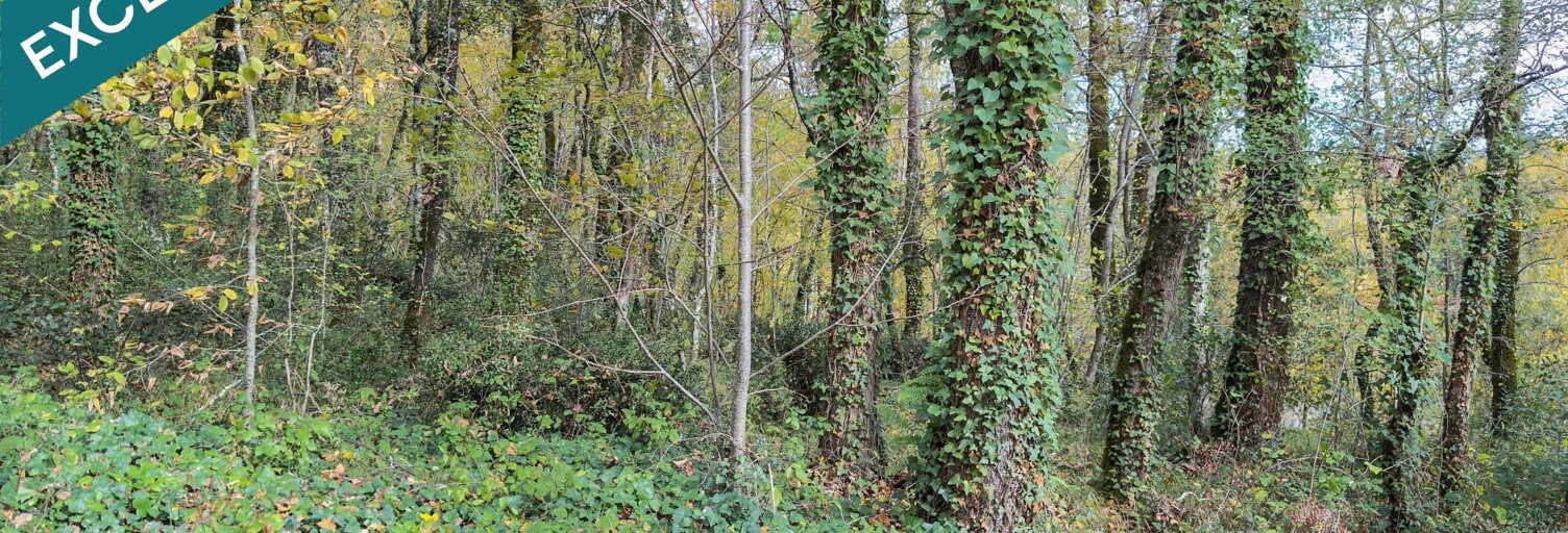 Terrain  10039 m² à vendre à Meyrals (24220)