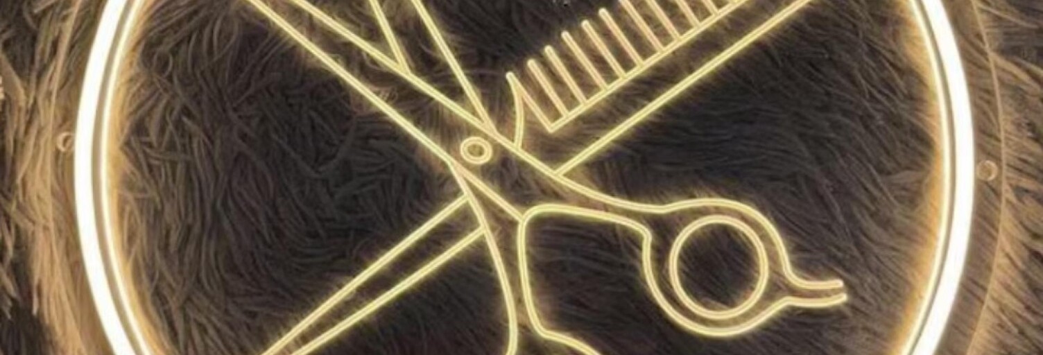 Commerce  140 m² à vendre à Lisieux (14100)