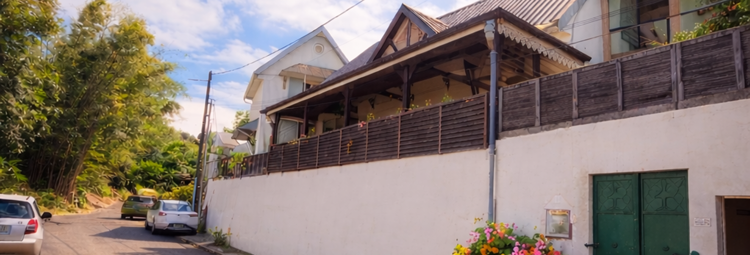 Maison 12 Pièces 250 m² à vendre à Saint-André (97440)