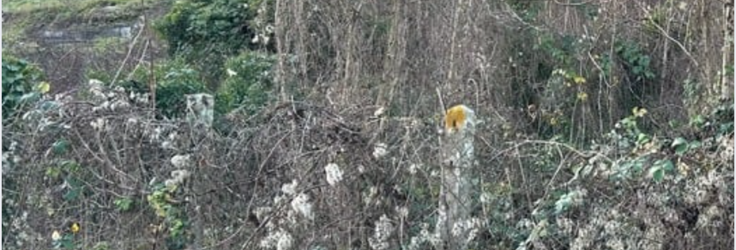 Terrain  1008 m² à vendre à Tonnerre (89700)