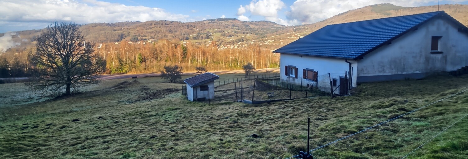 Maison 6 Pièces 100 m² à vendre à Saulxures-sur-Moselotte (88290)