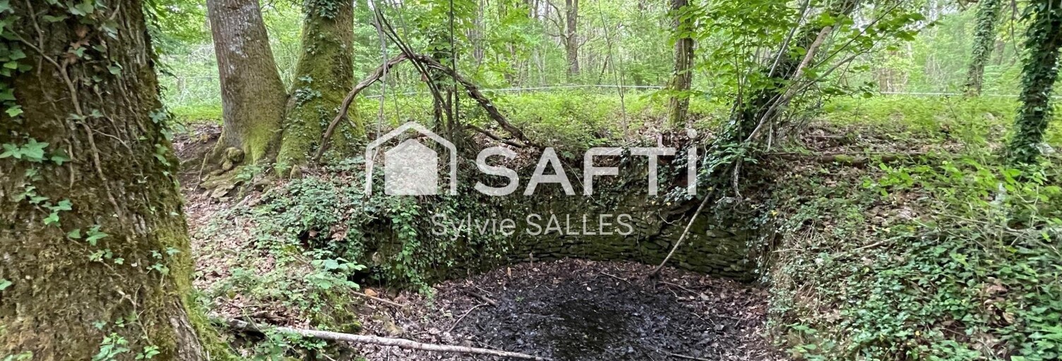 Terrain  17540 m² à vendre à Loubejac (24550)