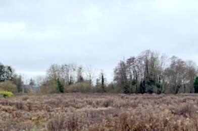 Terrain  59000 €