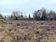 Terrain constructible à vendre — photo 2