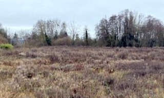 Terrain  2190 m² à vendre à Pont-sur-Vanne (89190)