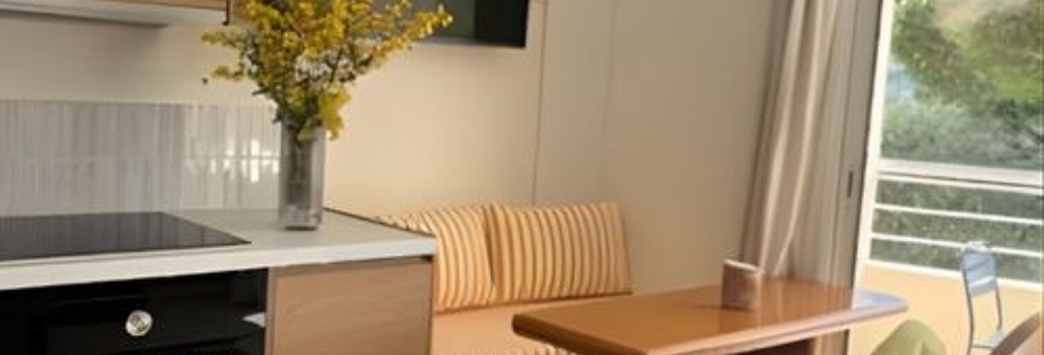 Appartement 1 Pièce 30 m² à louer à Cannes (06400)