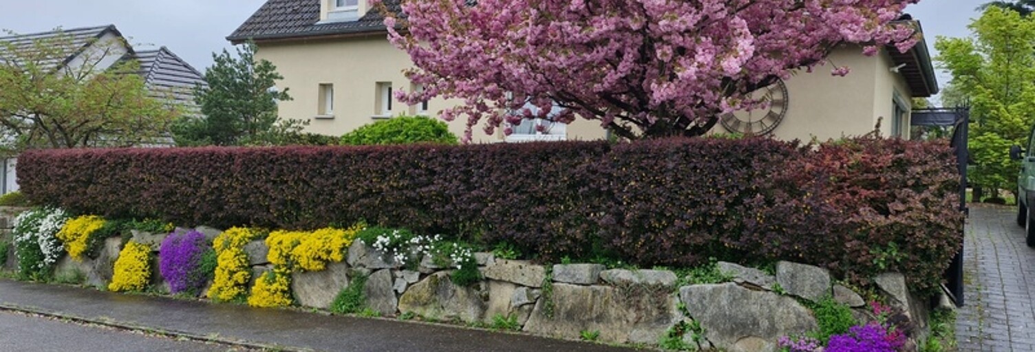 Maison 6 Pièces 251 m² à vendre à Wentzwiller (68220)