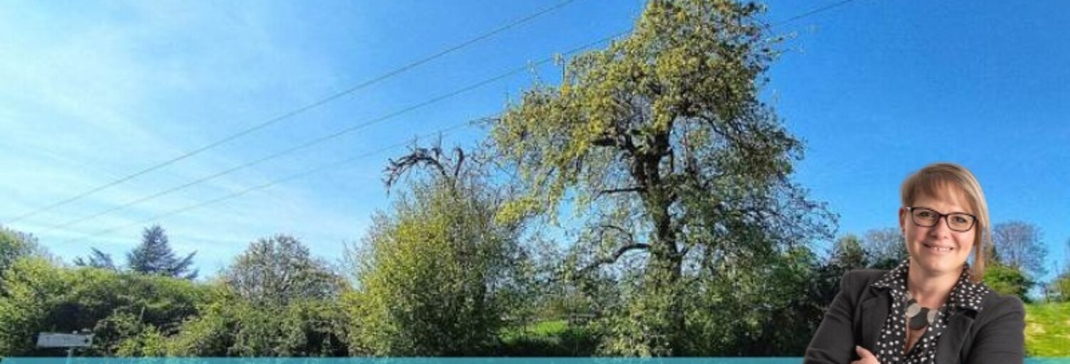 Terrain  8107 m² à vendre à Suizy-le-Franc (51270)