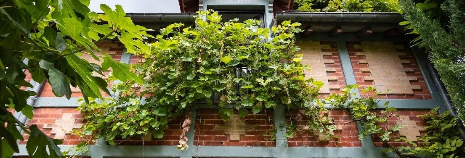 Maison 2 Pièces 30 m² à louer à Saint-Cloud (92210)