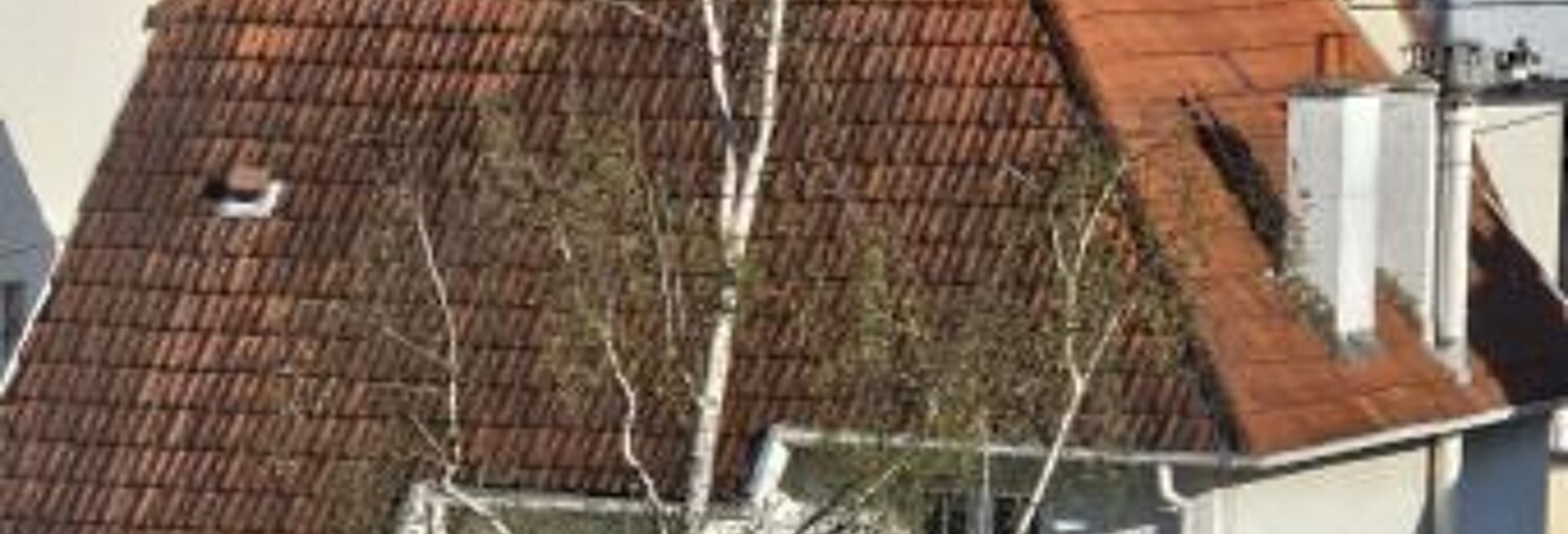 Appartement  58 m² à louer à Chatou (78400)