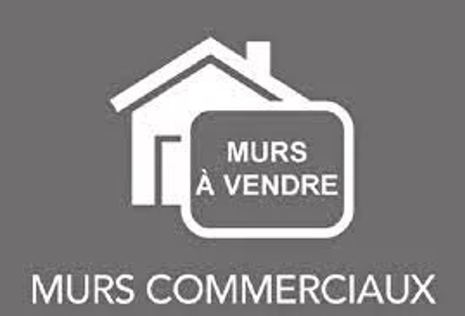 Vierzon Forges - Murs commerciaux 460 M² -  Avec locataires loués — photo 1
