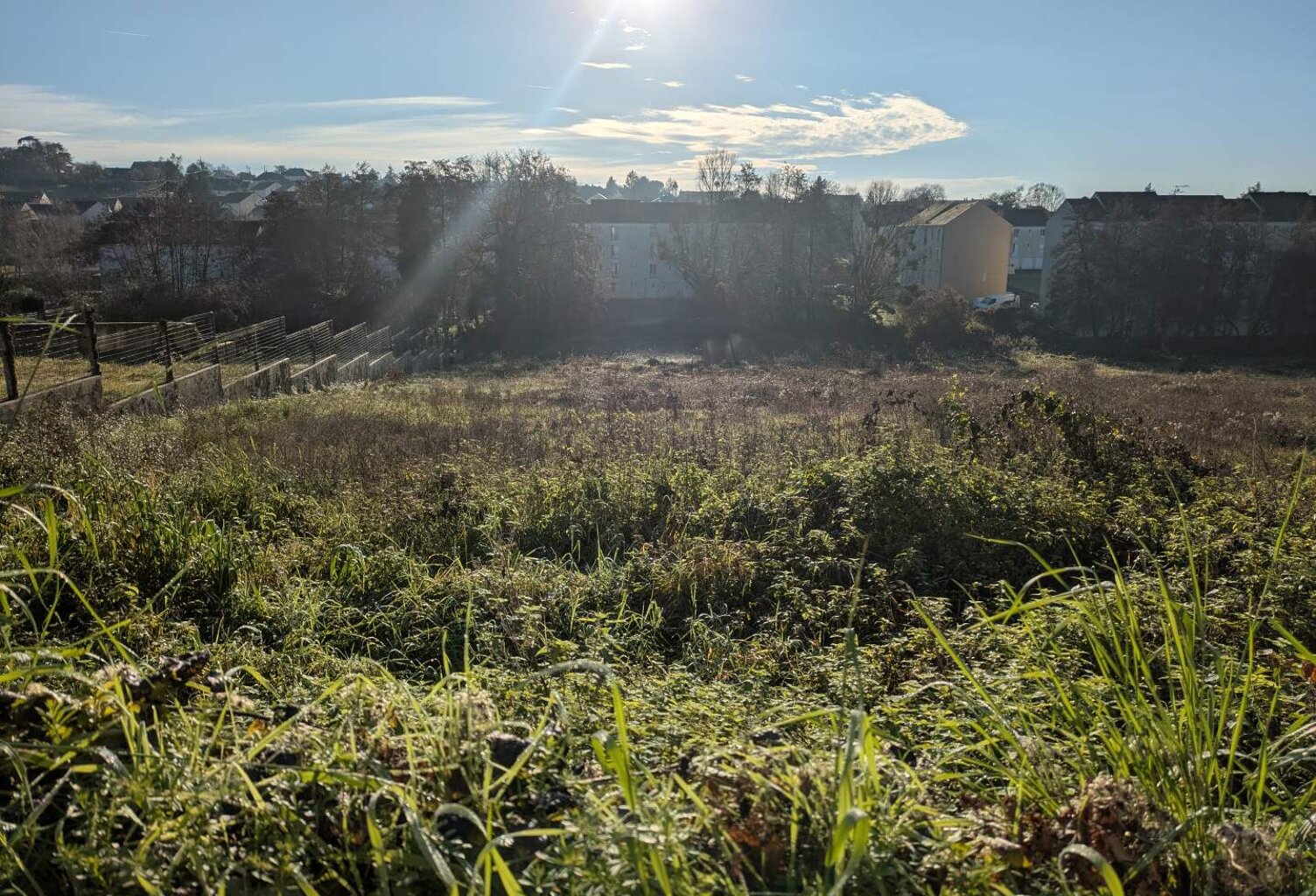 Vente terrain  1699 m² Sainte-Maure-de-Touraine (37800) — photo 1